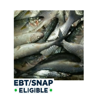 Guyana Mullet (Cut Up) - (2lb Pack)