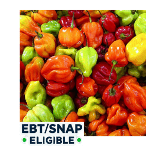 Jamaican Hot Peppers 6 per bag