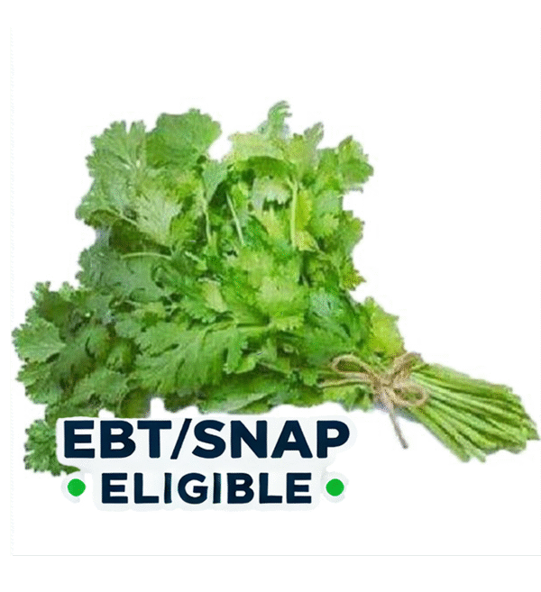 Cilantro  per bundle