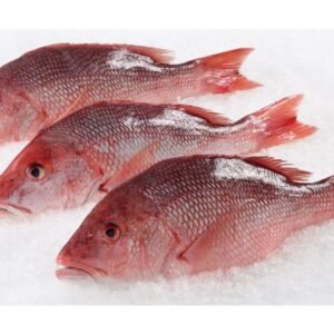Red Snapper - (2lb Pack)